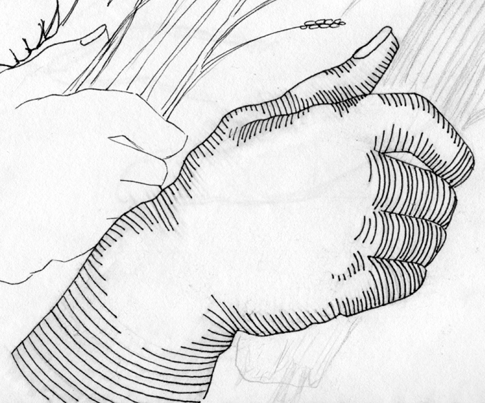 A hand holding stalks of grain, overlapping smaller studies