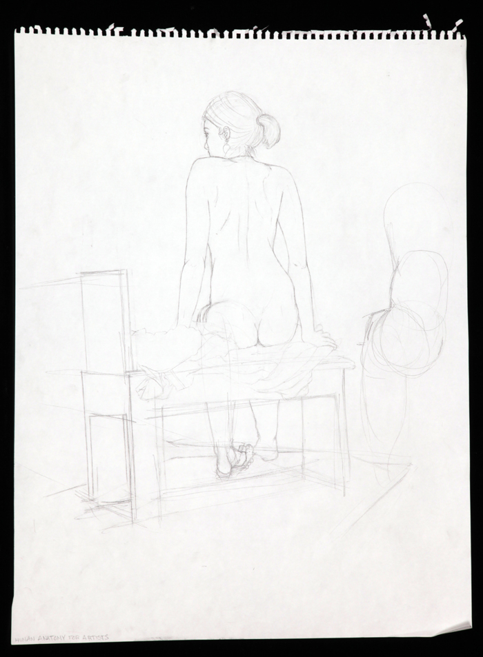 a linedrawing of a rear facing seated nude with a pony tail