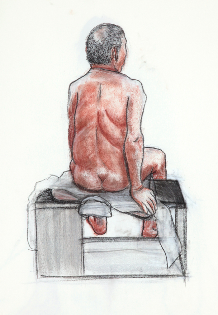 a rearfacing male nude seated on a bench done in conte stick