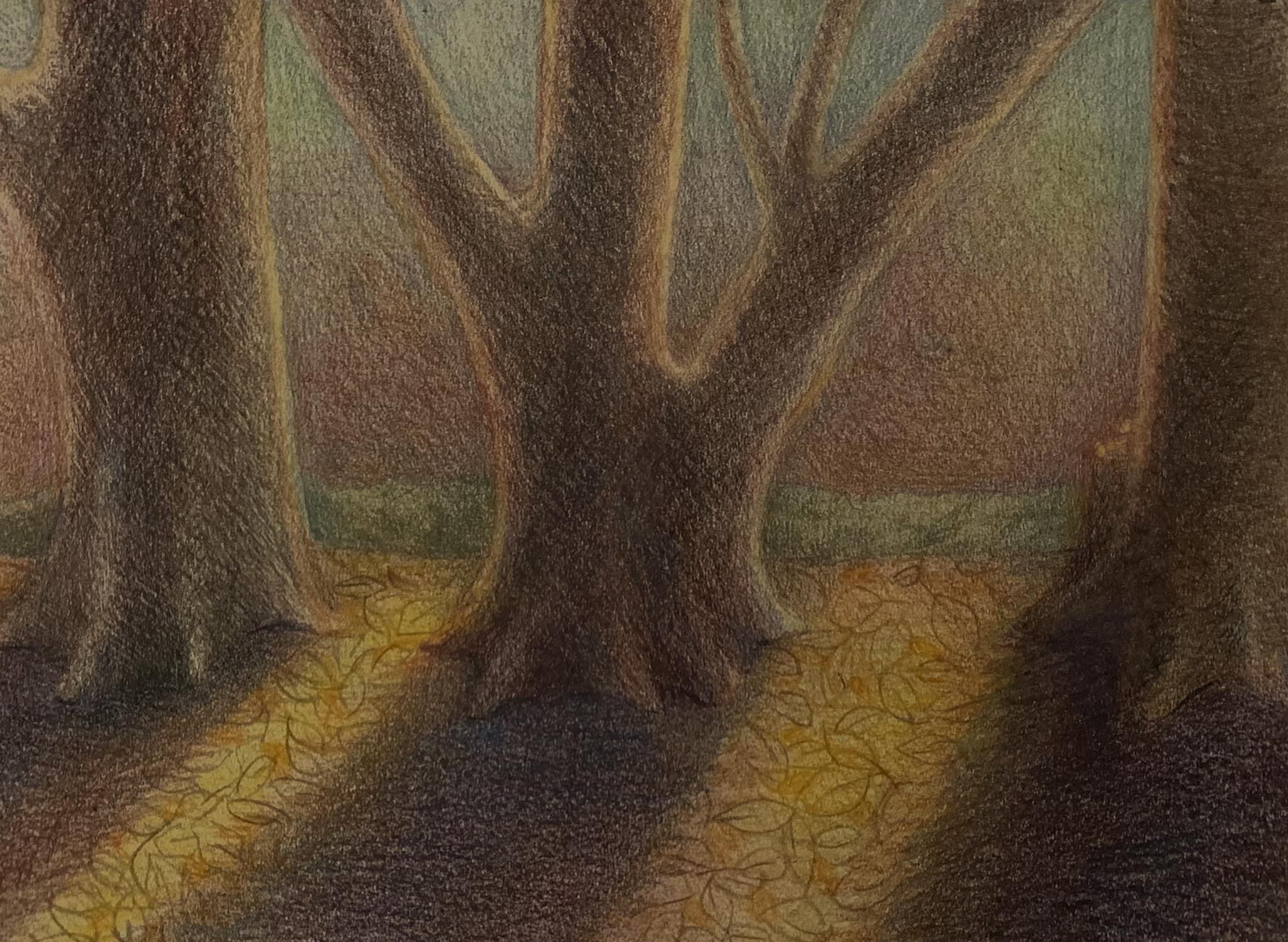 picture book illustration of bare trees, backlit by a sunset casting long shadows on dry leafy ground