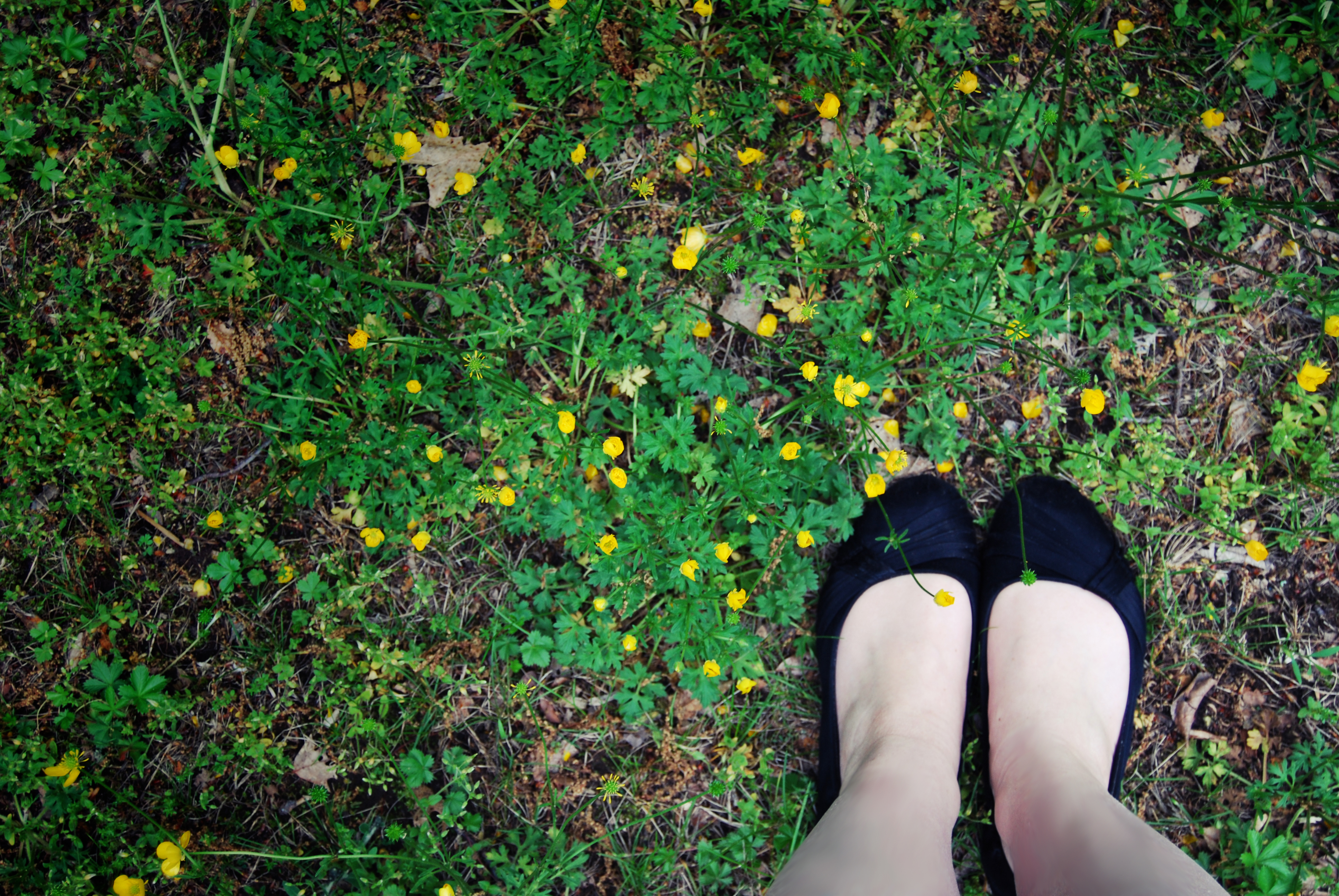 looking down on green ground cover with little yellow buttercups, at the very bottom edge are a pair of pale white feet in black fabric shoes