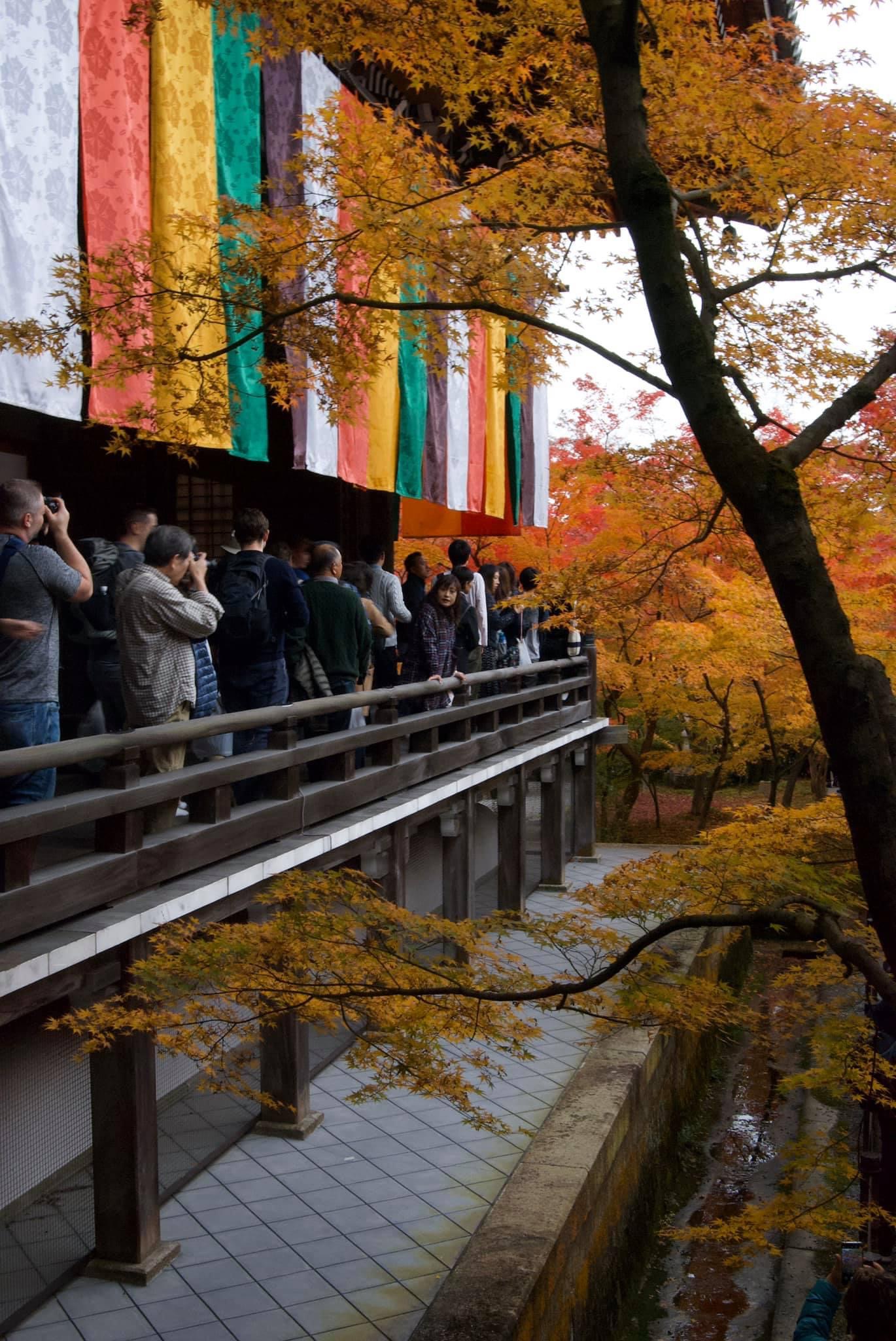 A crowd of people walking along a railed walkway on the outside of a building in Nara Japan. a rainbow of colorful flags hang down from the eves of the roof and the leaves on the japanese maple trees are bright orange. One woman is leaning on the railing looking back against the crowd to a man who takes her photo.
